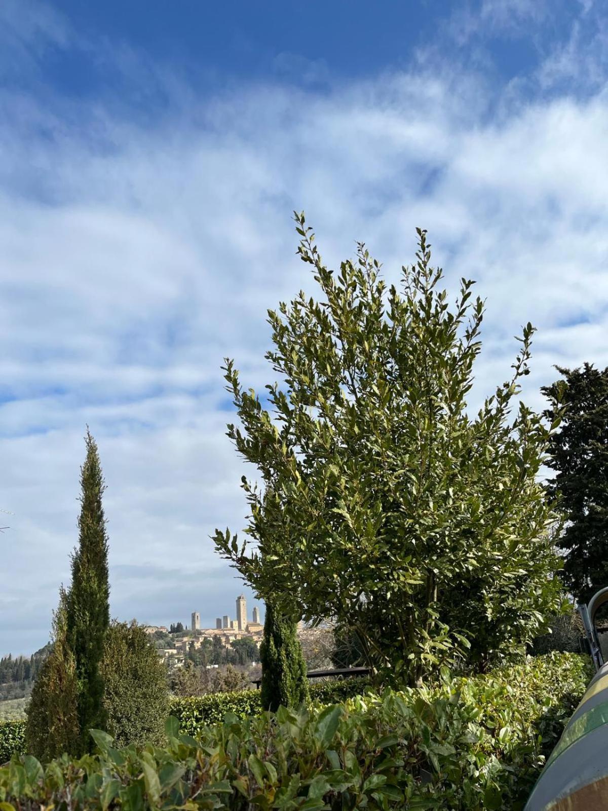 Апартаменты La Casina Di Cinzia Сан-Джиминьяно Экстерьер фото